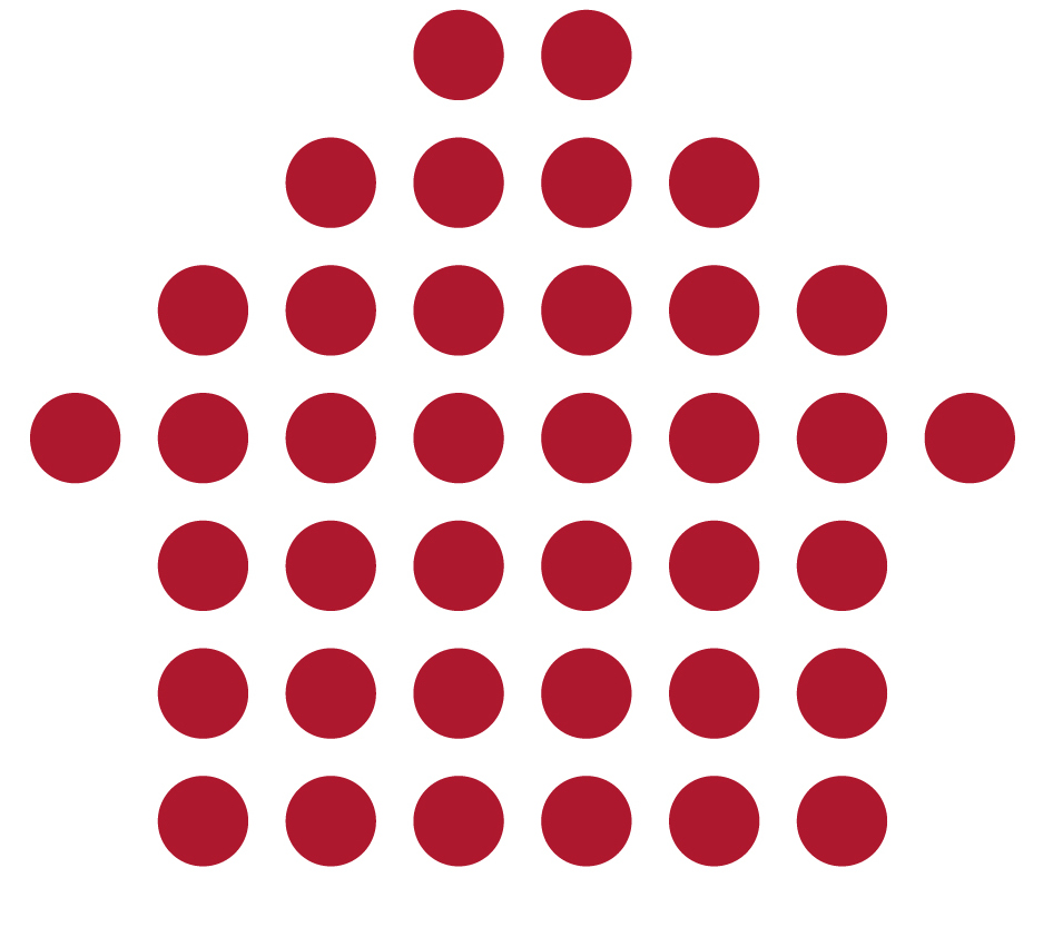 Administrador Colegiado